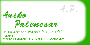 aniko palencsar business card